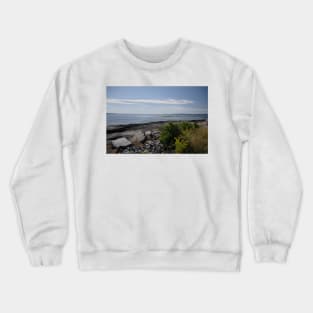 850_4723 Crewneck Sweatshirt